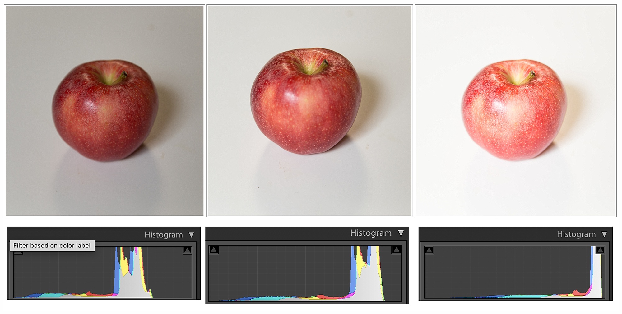 4 Tips for better photos in the snow histogram kristina rose photography