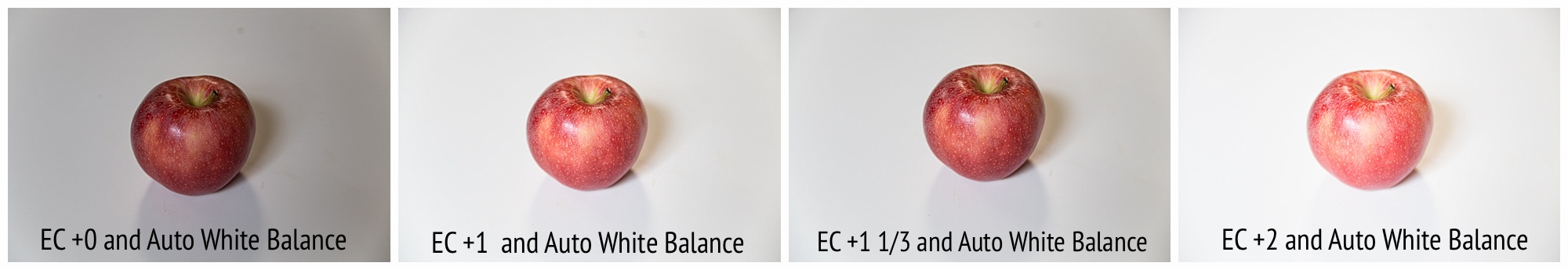 Exposure compensation 4 tips for better photos in the snow kristina rose photography