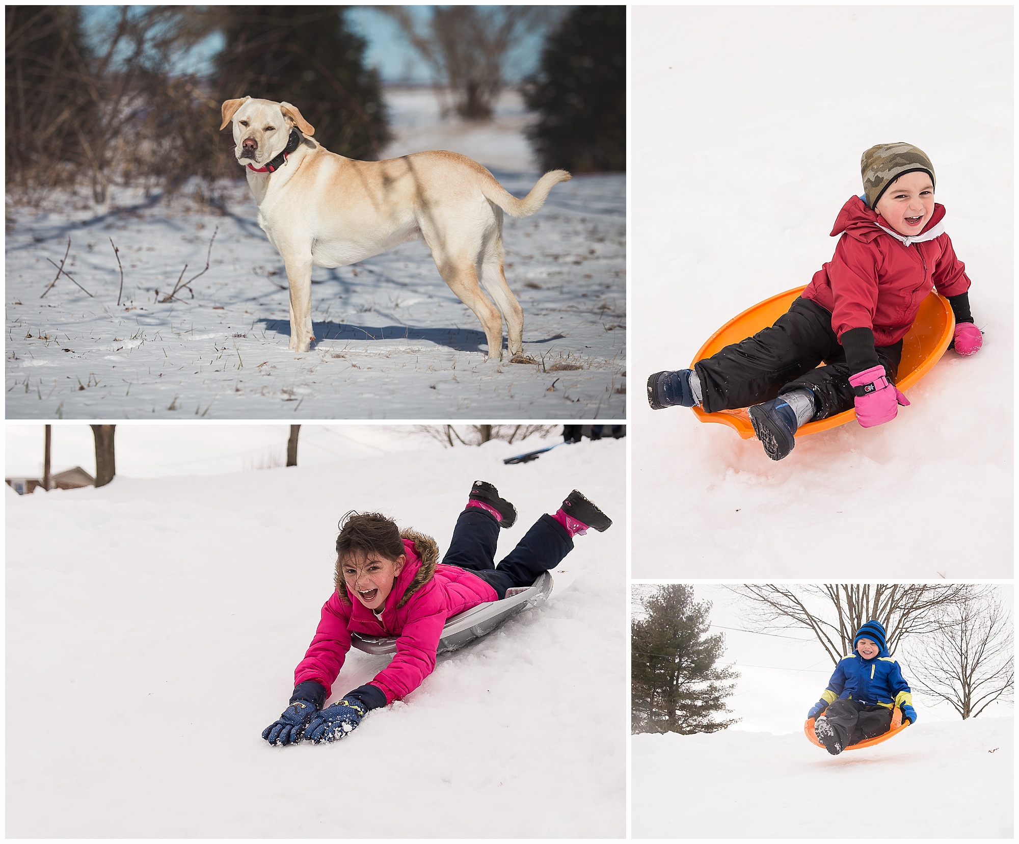 Exposure compensation 4 tips for better photos in the snow kristina rose photography